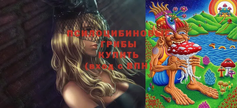 Псилоцибиновые грибы GOLDEN TEACHER  Белоозёрский 